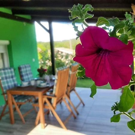 Ruralna Kuca Za Odmor Viktorija Vila Caglin Exterior foto