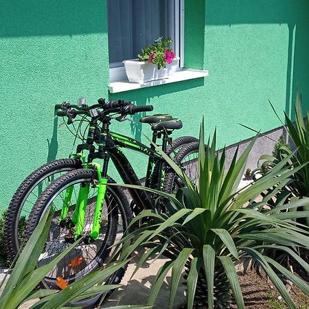 Ruralna Kuca Za Odmor Viktorija Vila Caglin Exterior foto