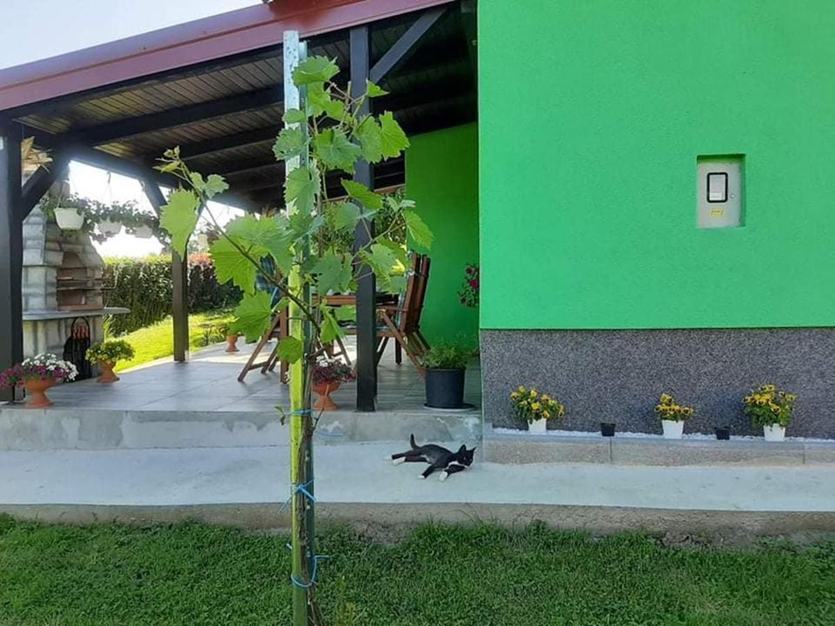 Ruralna Kuca Za Odmor Viktorija Vila Caglin Exterior foto
