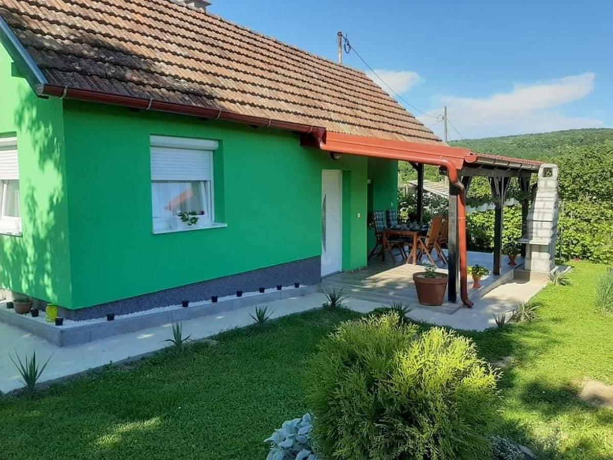 Ruralna Kuca Za Odmor Viktorija Vila Caglin Exterior foto