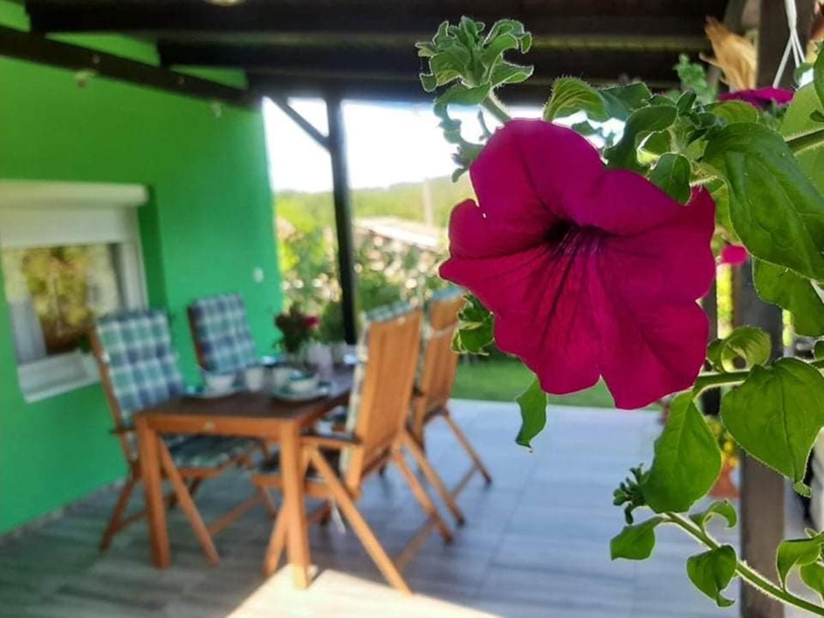 Ruralna Kuca Za Odmor Viktorija Vila Caglin Exterior foto