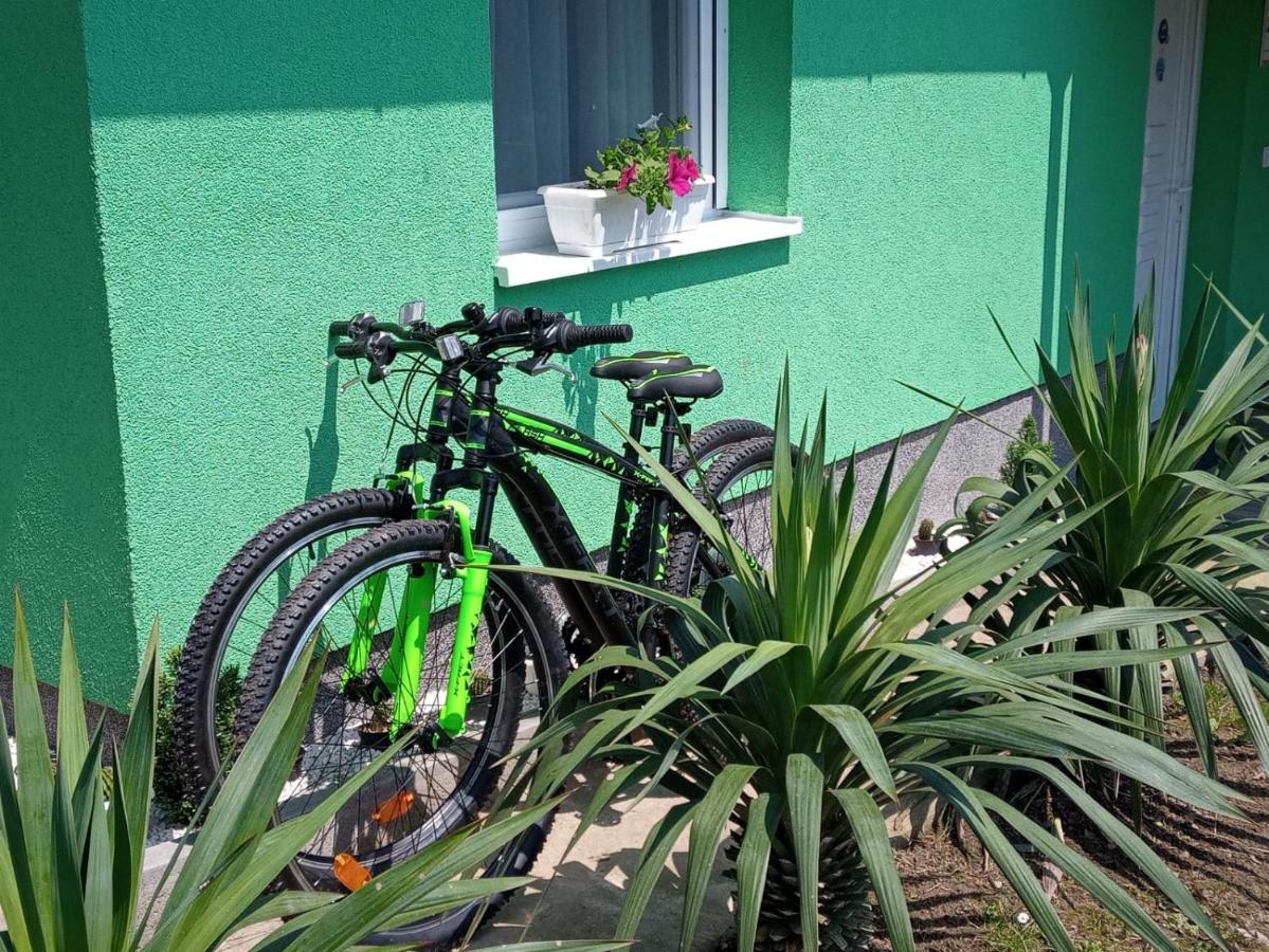 Ruralna Kuca Za Odmor Viktorija Vila Caglin Exterior foto